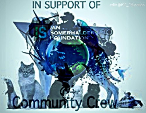 FOR__Education's tweet photo. ' Be the voice for the Voiceless '
#WorldAnimalDay 🐶🐱🐭🐼🦁🐷🐦🐴🐝🦋🐍🐬🦈🐄🐘
#ISF #ISFCommCrew https://t.co/yt1DxPa6I1