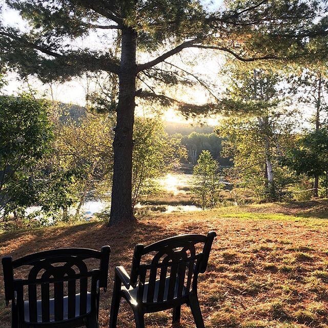 OnHighlands's tweet photo. Would love to be sitting and enjoying this view right now #repost #thanksfortagging Reposting @hushlodge:
...
Gold… https://t.co/puKG3qUo7E https://t.co/1YEInTRcyp