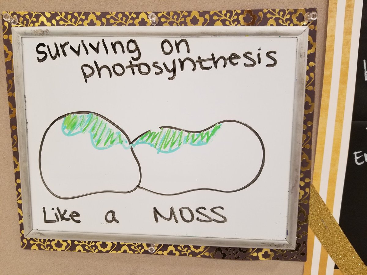 Otero522's tweet photo. #ScienceJokeoftheDay @SMSRaiderNation #OteroSci
#likeaMOSS https://t.co/Nro78v2pax