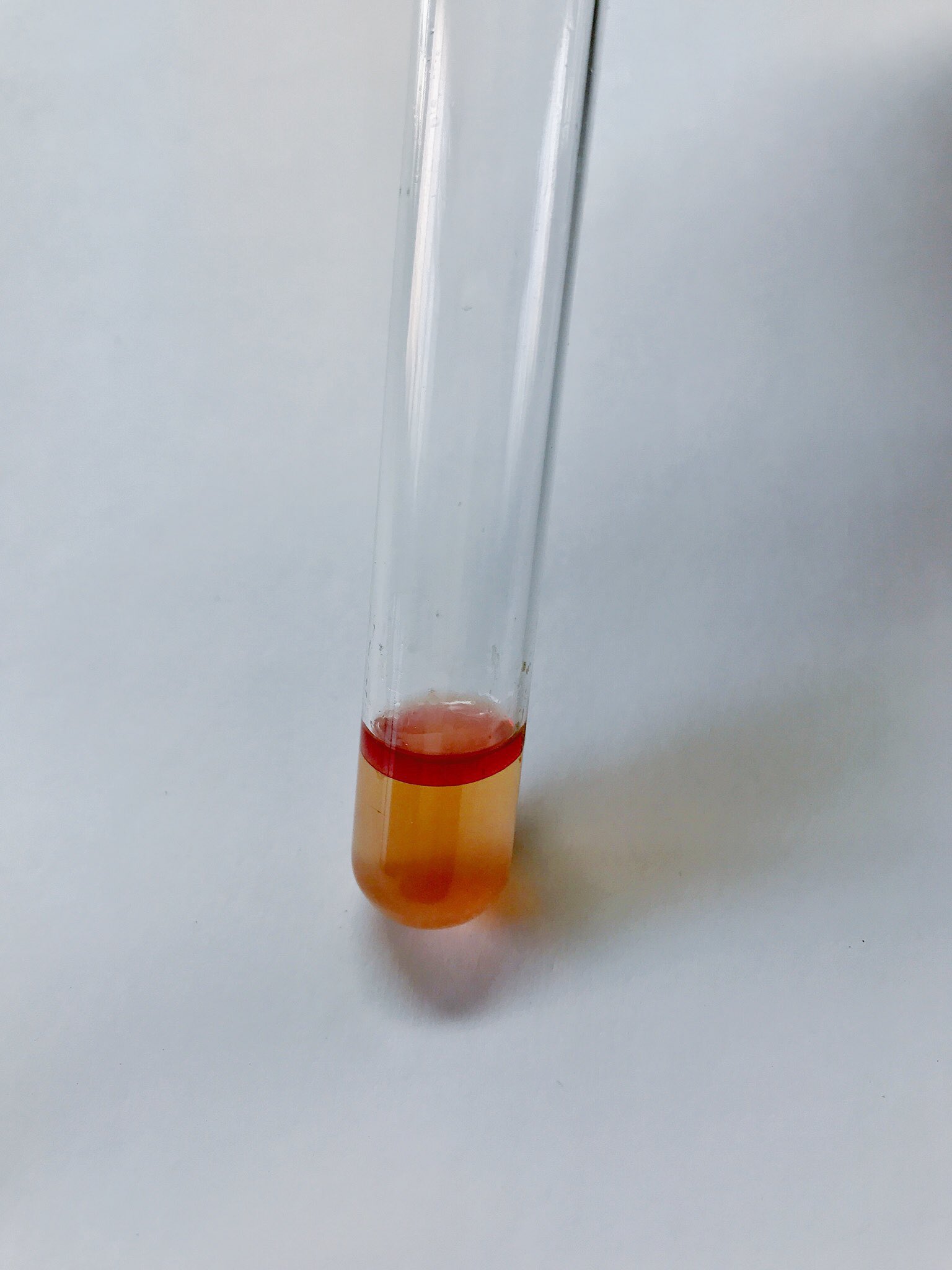 Indole Test