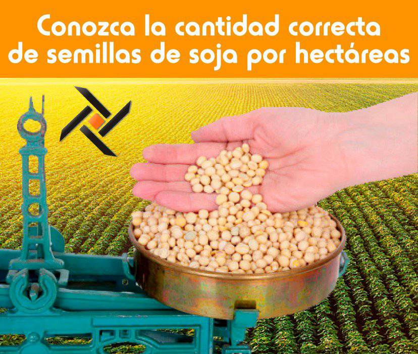 UnijetSA's tweet photo. Conozca la cantidad correcta de semillas de soja por hectáreas:

https://t.co/W8pfa8CD0a

#unijetsa #soja #semillas #hectareas https://t.co/ndDxFZoWyy