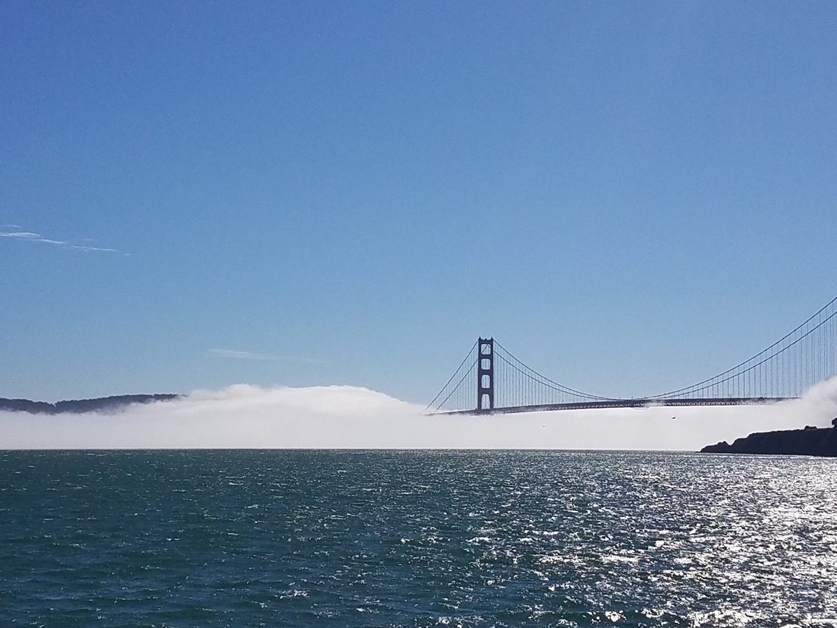 BlueAngels's tweet image. Get it out of your system @KarlTheFog, we are flying tomorrow!