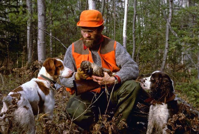 GameAndFishMag's tweet photo. We share our favorite #Ruffed #Grouse #Wisconsin hot spots with you HERE: https://t.co/1gzDAFelNa https://t.co/w97MUv6oW6