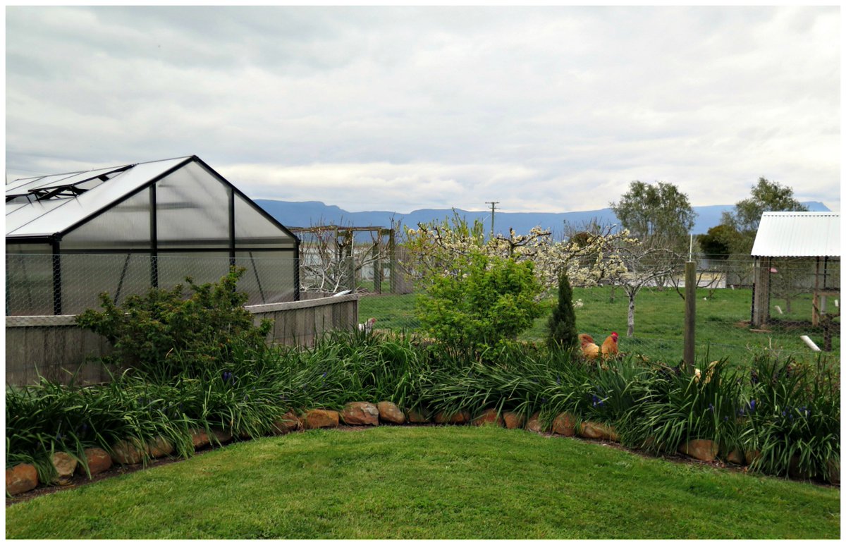 ataskitchen's tweet photo. It's October in the garden on a small Tasmanian farm https://t.co/AC48CbiKDl #tasmania #growyourown https://t.co/A4pH4wtifs