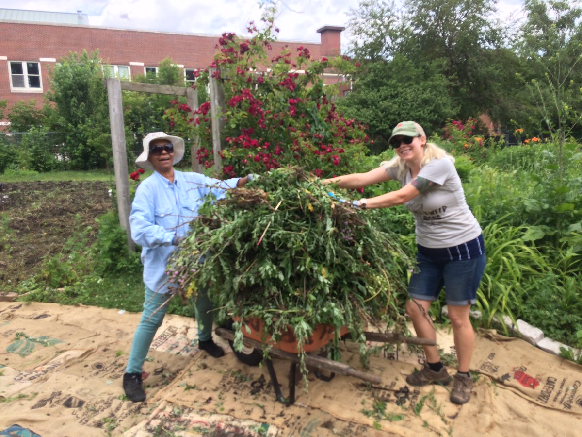 AUAChicago's tweet photo. Calling #urbanag volunteers! AUA & @SlowFoodChicago #cropmob volunteering 10/14 @ amazing #community garden! Details https://t.co/HZQP8x0obb https://t.co/xfG6rcIuiO