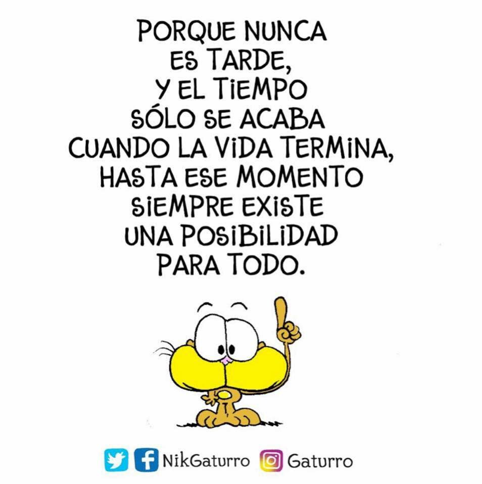 Nikgaturro's tweet photo. #BuenMiercoles https://t.co/QNmaPVs2GB