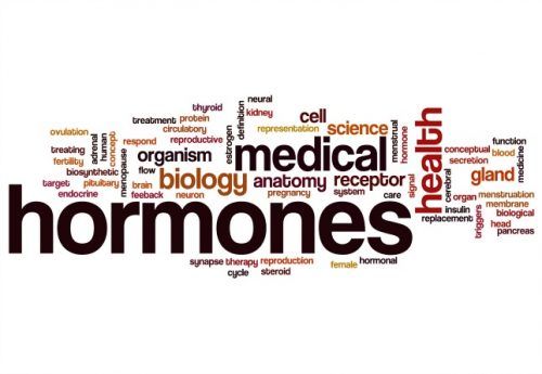 fitoldmantips's tweet photo. 9 Ways to Normalize Your Hormones #fitness #hormones #fitoldman #fitoldmen https://t.co/2l3AgejgbL https://t.co/L0B2lmzQzt