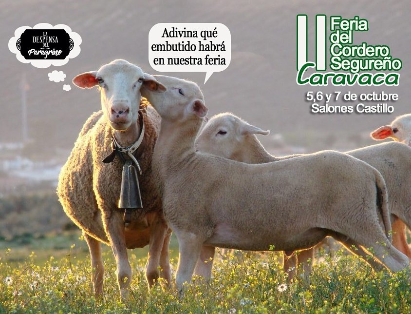 DespensaPeregri's tweet photo. Os invitamos a la II Feria del #CorderoSegureño que se celebra en nuestra localidad! Visita nuestro stand 🤗 #CaravacaDeLaCruz #Murcia https://t.co/lxHUAJmYxv