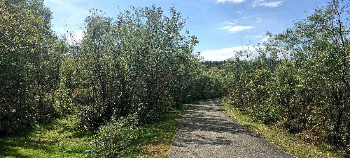 Fairfax Parks & Rec. tweet media