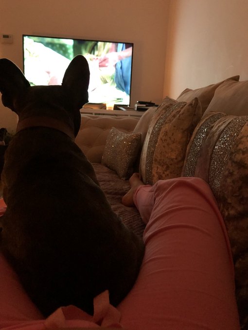 Does anyone else&rsquo;s dog love @CallTheMidwife1 ? he&rsquo;s been watching solidly for 10minutes now 😂🙈 https://t<a class="tags" target="_blank" title="On Twitter" href="/?out=eyJ0eXAiOiJKV1QiLCJhbGciOiJIUzUxMiJ9.eyJpYXQiOjE3MjE1Njk2ODgsImlzcyI6InR3cG9ybnN0YXJzLmNvbSIsIm5iZiI6MTcyMTU2OTY4OCwiZXhwIjoxNzUzMTA1Njg4LCJyZWRpcmVjdF91cmwiOiJodHRwczovL3R3aXR0ZXIuY29tL0NhbGxUaGVNaWR3aWZlMSJ9.2cthmZajoJQMfC_PsdVOX7YosM3Z0lfIAU6VUX5eOL8HGWtyhIkSz8hfaNxmo48u0Nn0AvheBOZQ7c7Zzlu2WQ">@CallTheMidwife1</a><a href="/tag/gamesofthrones"class="tags"><span>#gamesofthrones</span></a>