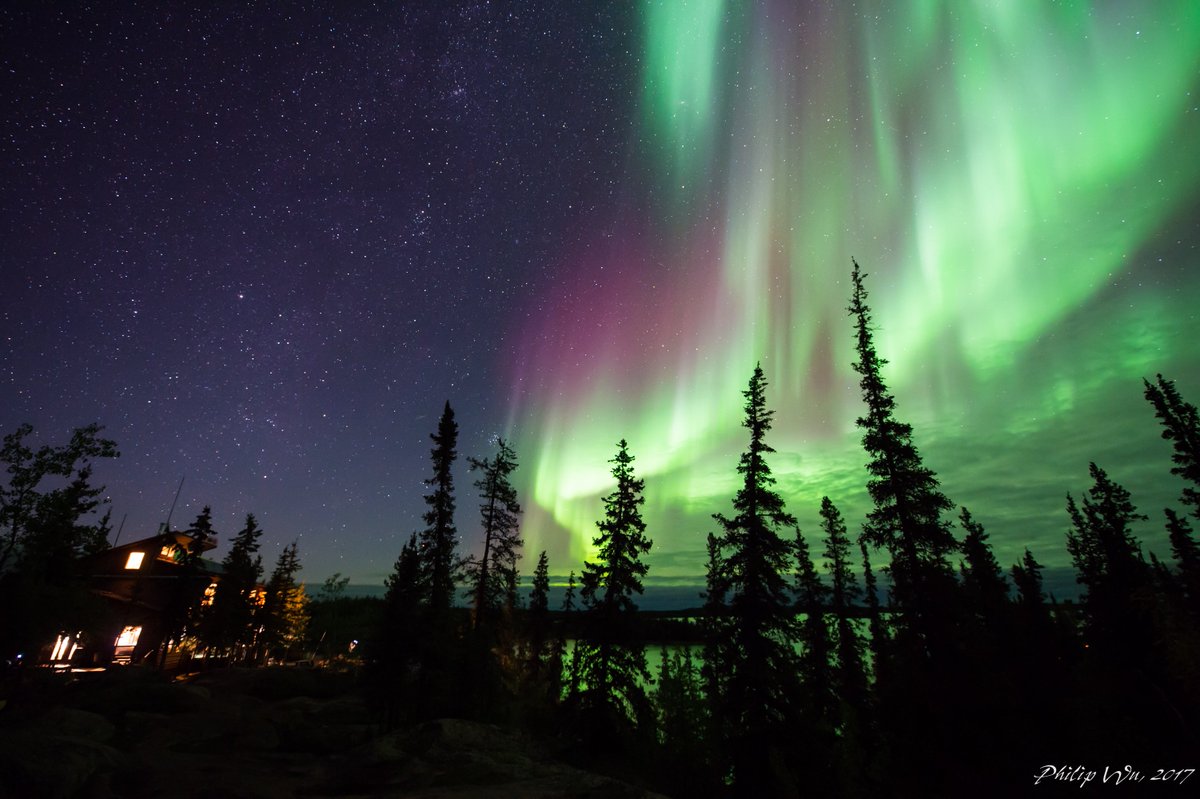 NWT Aurora (@NWTAurora) | Twitter