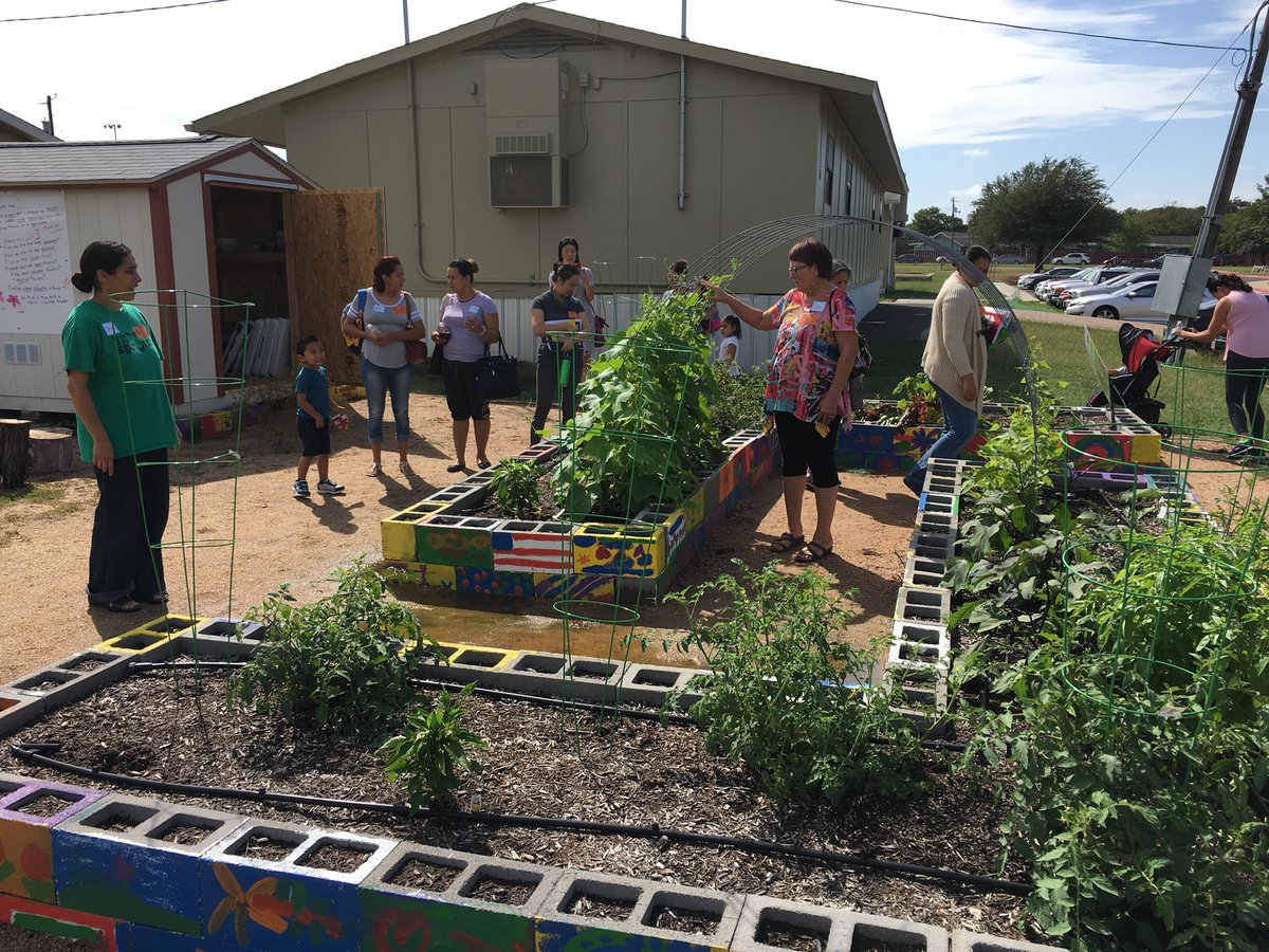 debbyfostermata's tweet photo. @ParentPrograms partnering with #TXSPROUTS to learn how to make garden-to-table recipes @VoigtAIA_RRISD. https://t.co/tTsKnnBhQt