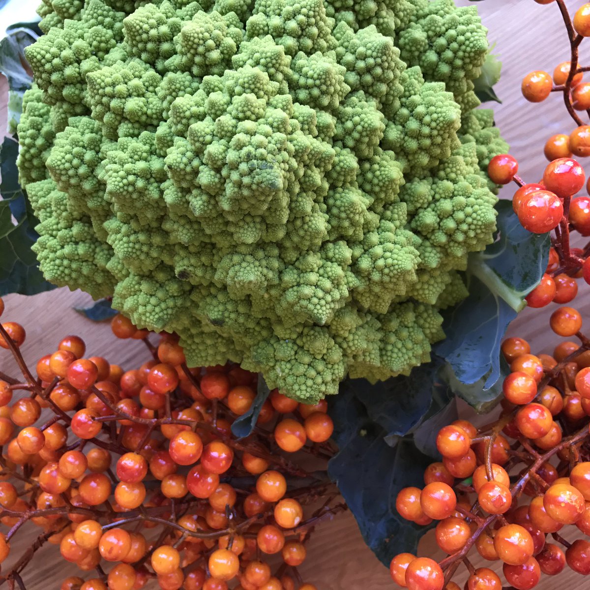 wilsonfarm's tweet photo. Our very own romanesco has arrived! Roast with olive oil, garlic and onion. Its delish! https://t.co/h7yz4Pk0Jm