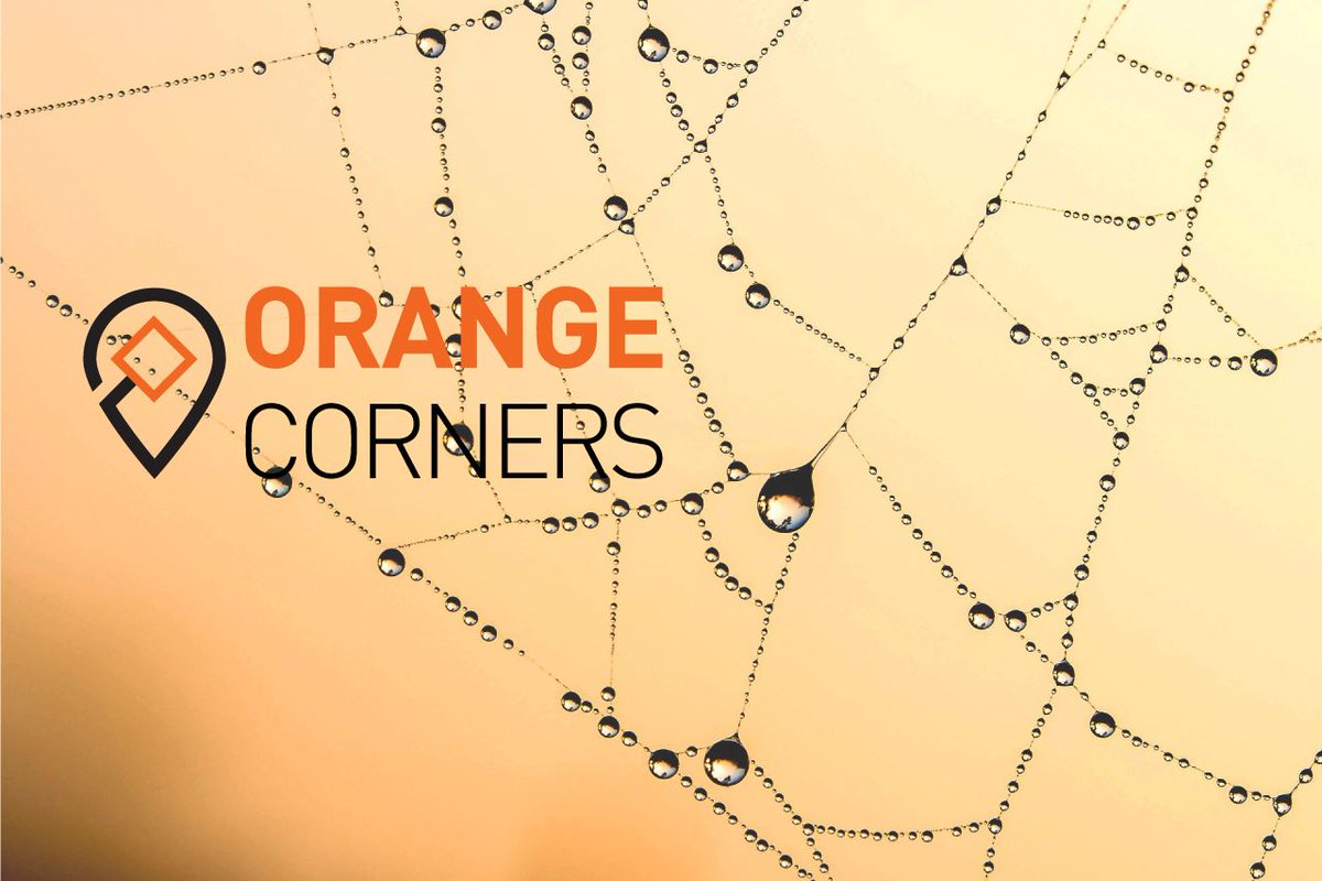 ignitorza's tweet photo. Expand your entrepreneurial web. Grow your business. Apply for Orange Corners. https://t.co/DH9iFBEn2C https://t.co/7iPKnK8nJB