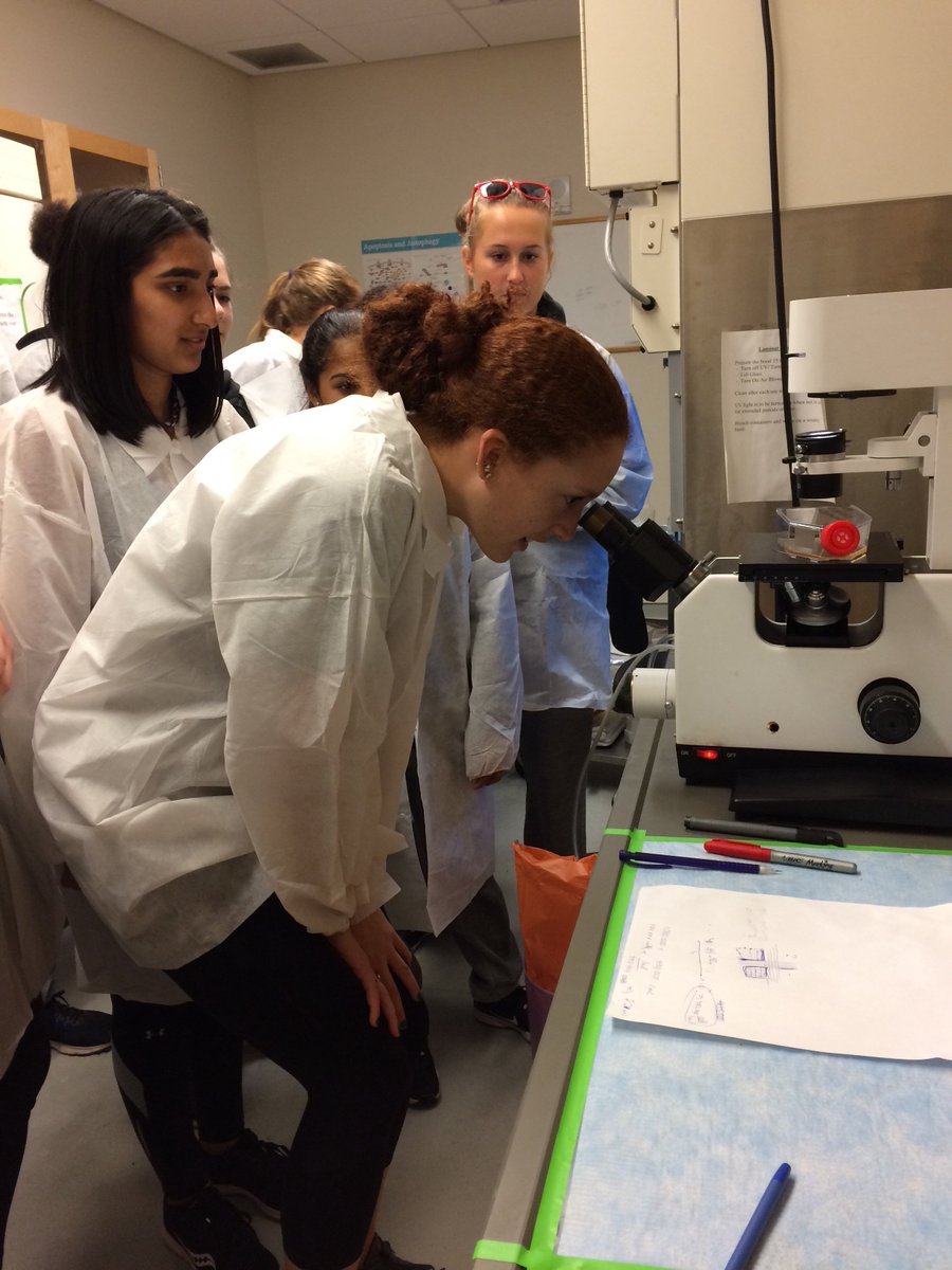 DSSSRISE's tweet photo. RISE students experience first hand a health sciences lab while they check out cancerous cells @DavidSuzukiSS #SHSM https://t.co/51U2T0hlvN