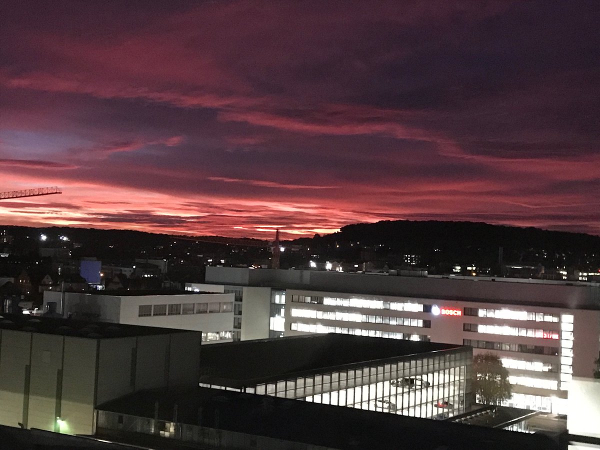 Tim Benton tweet media