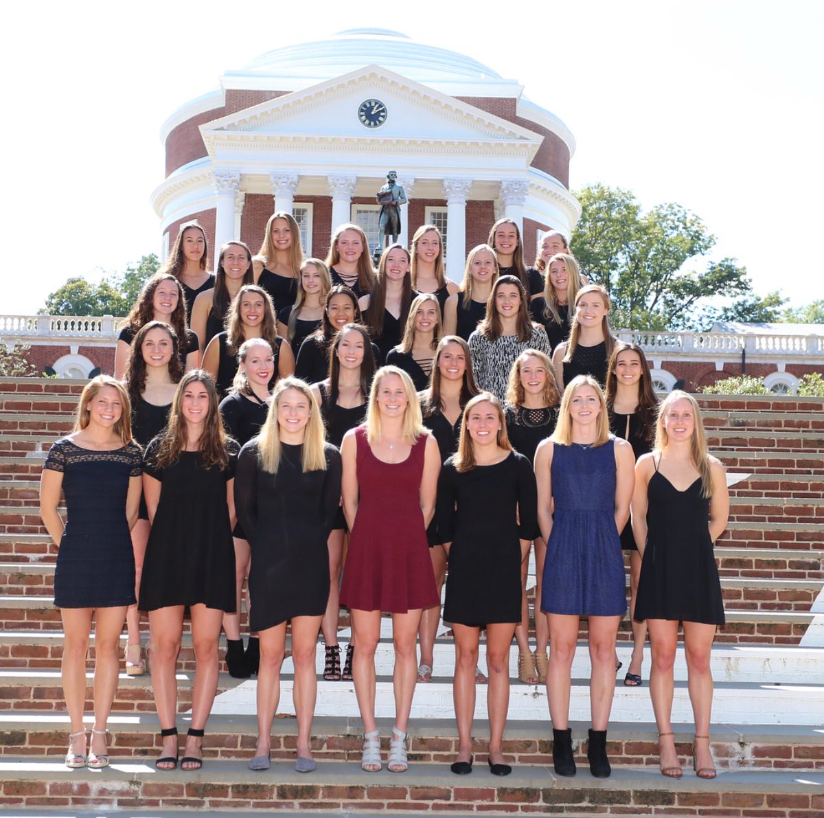 Virginia Swimming and Dive tweet media