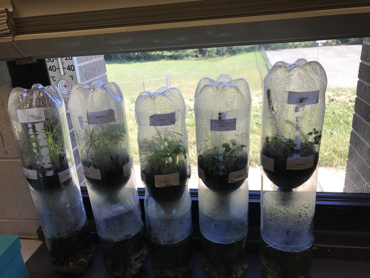 MCPS SCIENCE & SS (@eic_sci_ss) on Twitter photo Checking in with fourth grade teachers at #SouthLake about #NGSS implementation all is well! #terrariums <a href="/CeciliaDickson/">Cecilia Dickson</a> Checking in with fourth grade teachers at #SouthLake about #NGSS implementation all is well! #terrariums <a href="/CeciliaDickson/">Cecilia Dickson</a>
