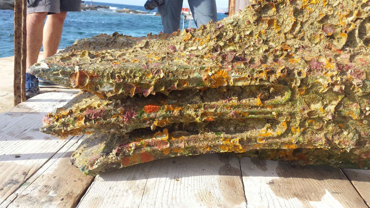 riemerge dopo 2258 anni di nostri fondali "Egadi 12" il dodicesimo Rostro della Battaglia delle Egadi 
Avvenuta il 10 marzo del 241 A.c