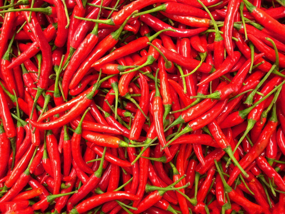 AtlChiliCookOff's tweet photo. I don't know if u can handle all this hotness! Weather's still nice &amp; we're less than 1 week away https://t.co/Bh3DWPMiZf! #atlchilicookoff https://t.co/odBdbQ0S2a