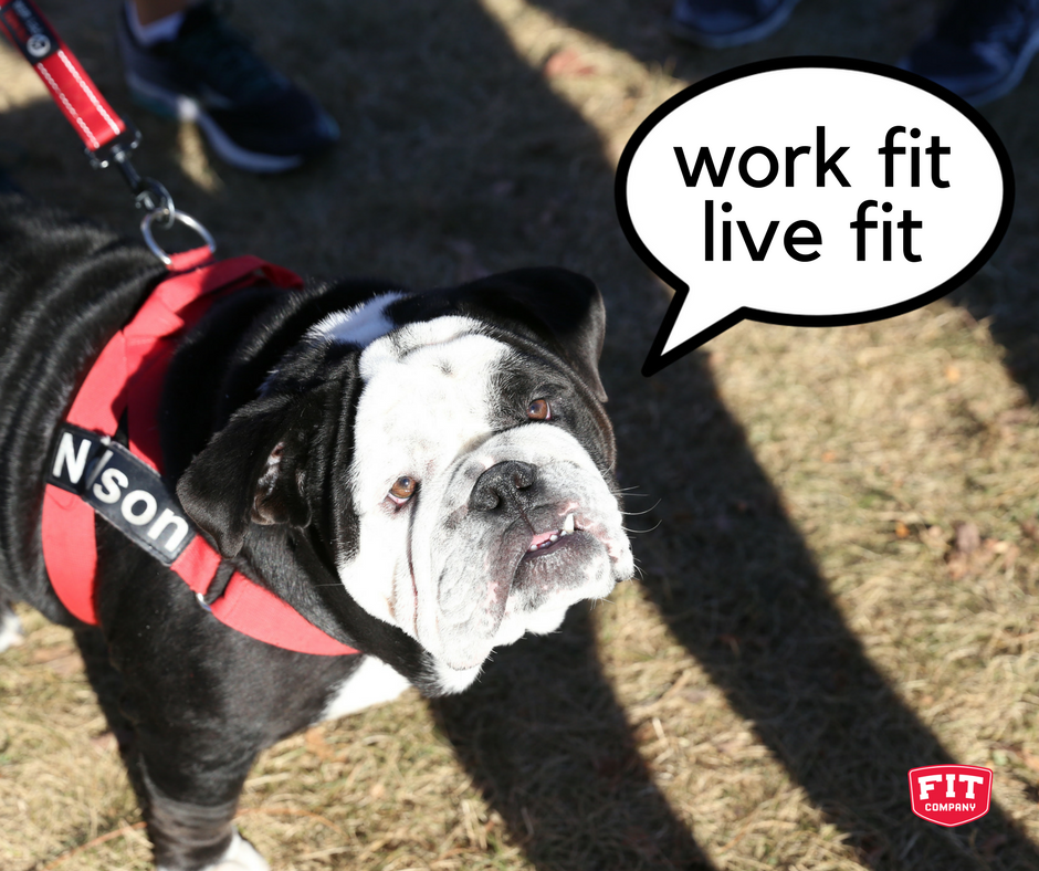 WorkFitLiveFit's tweet photo. @sirnelsonnielson says: event photos are now up on Facebook! Thanks again #Chicago #FitFam!! 🐶💕🏆 #workfitlivefit #FitCompanyChallenge https://t.co/1ZUZwEgVcN