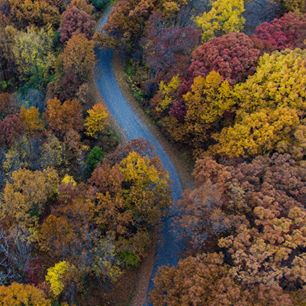 StrayWinds_Farm's tweet photo. Our homeowners are able to walk outside to picturesque views of the Appalachian Mountains and all their seasonal beauty! https://t.co/kdFXu4dqYK