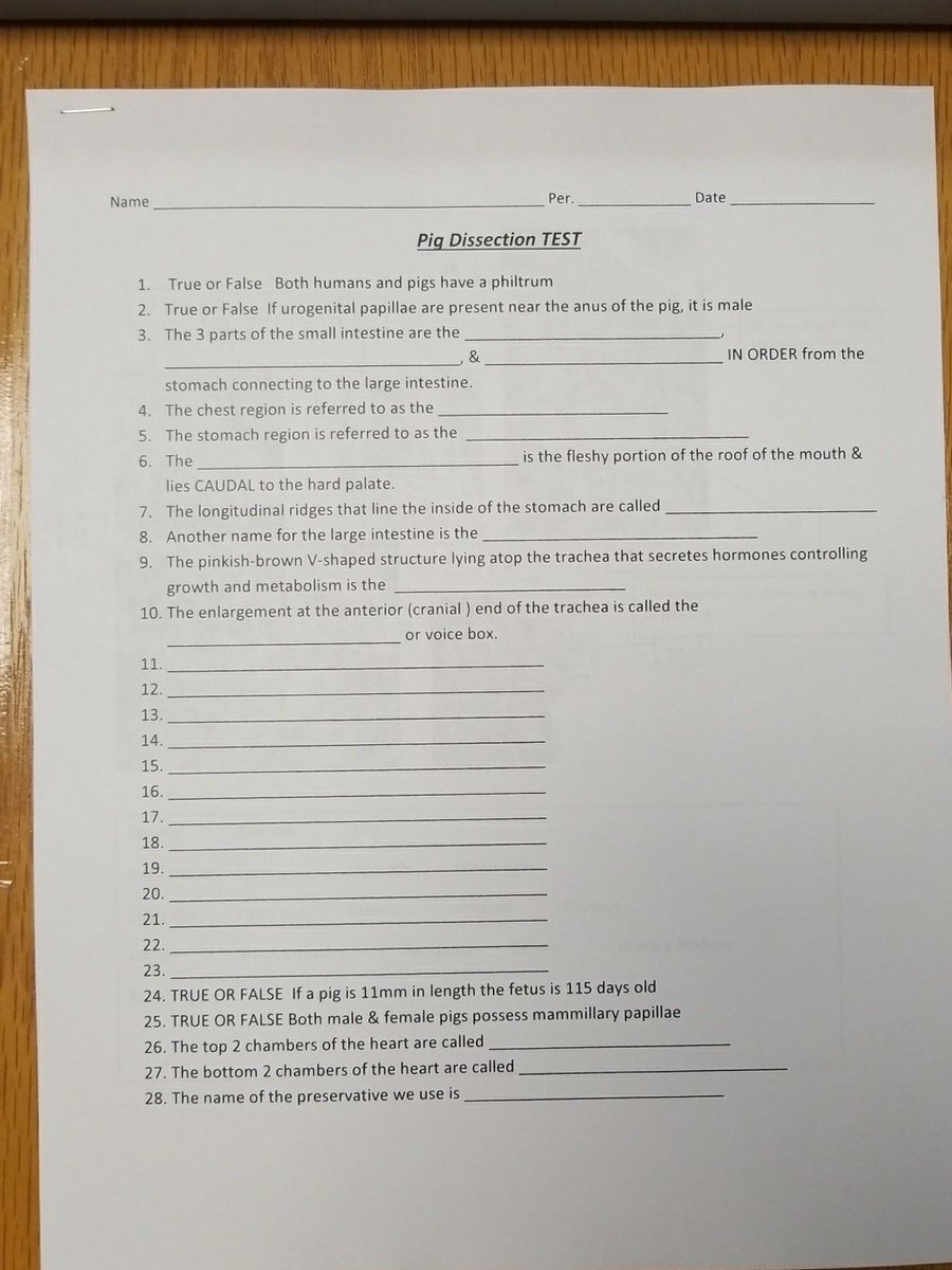 PranaThoppil's tweet photo. Study for your test on Monday part 1 #ThoppilAnatomy #PigDissection #NimitzNation https://t.co/ioQSEoSRhx