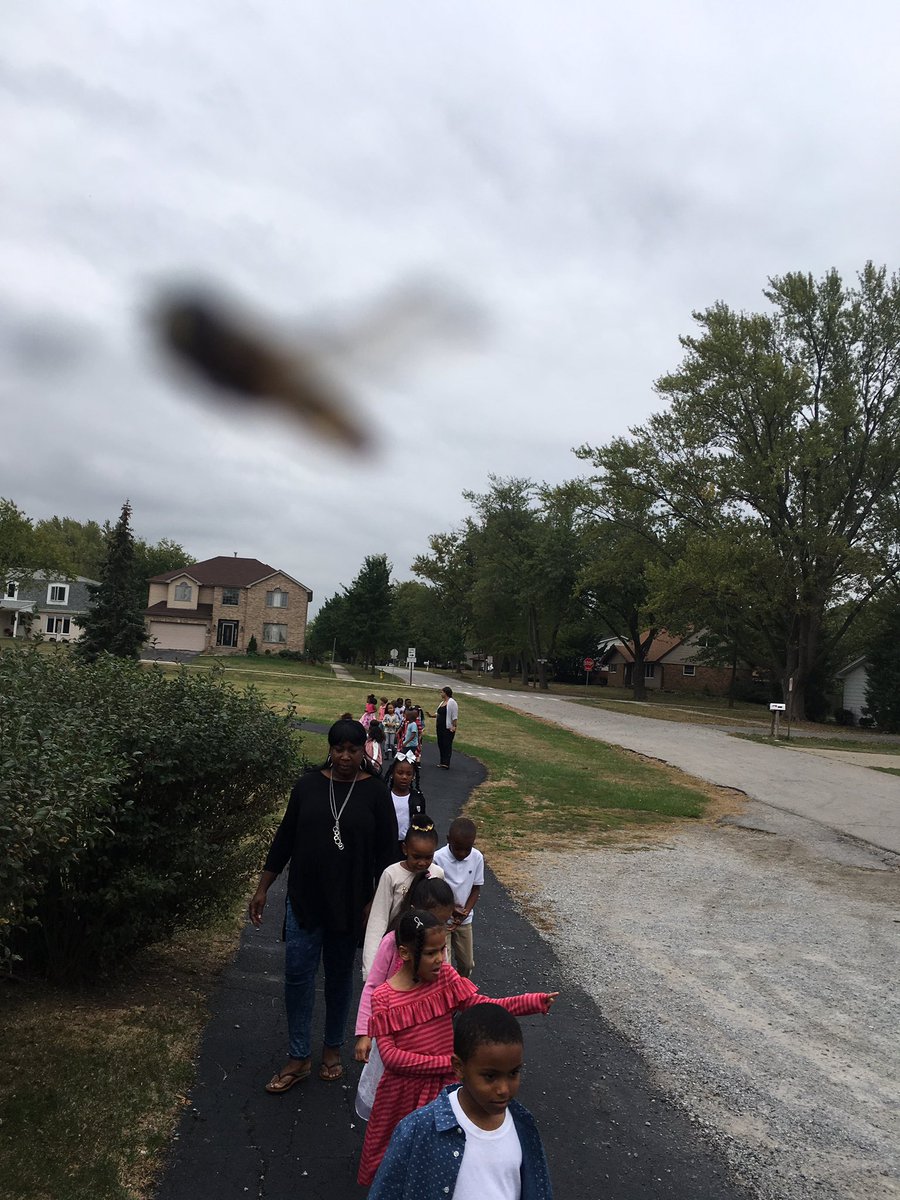 TheGreatMrDaley's tweet photo. @FlossmoorHills we're celebrating Walk at School Day #WalktoSchoolDay #flossmoorhillsonthemove #sd161 https://t.co/TJmInZRRsE