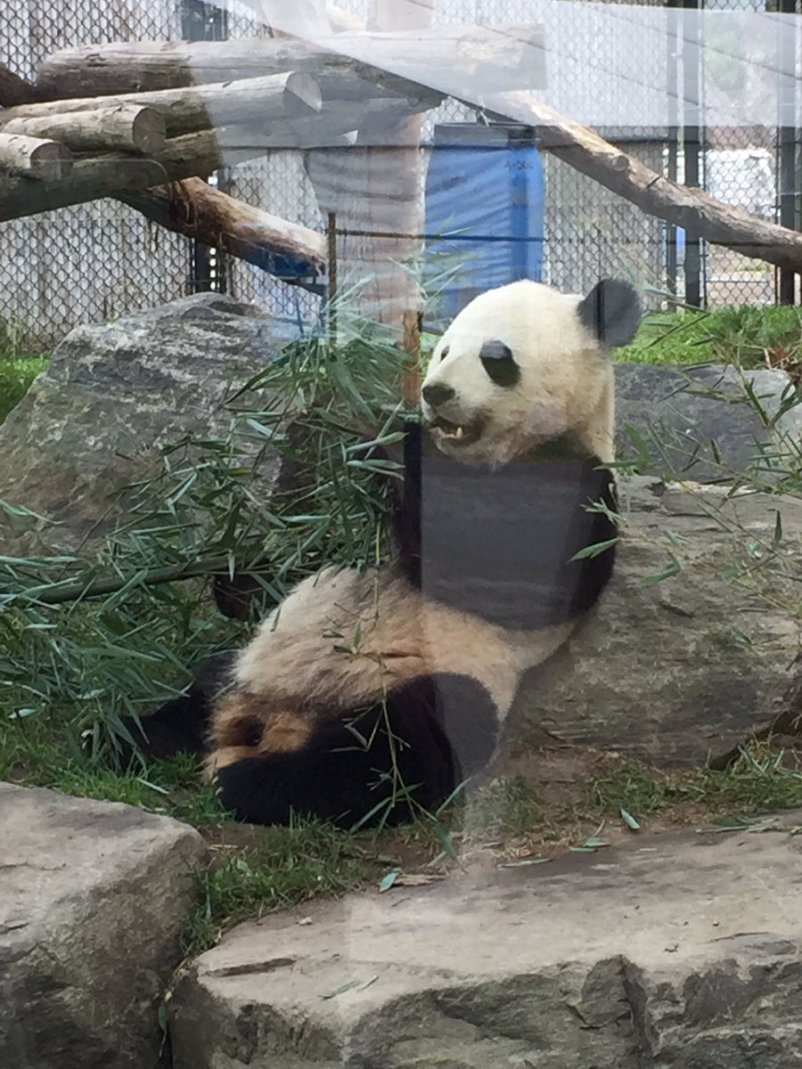 Class trip to the Toronto Zoo with 3UBio. A fun way to explore biodiversity and evolution!!