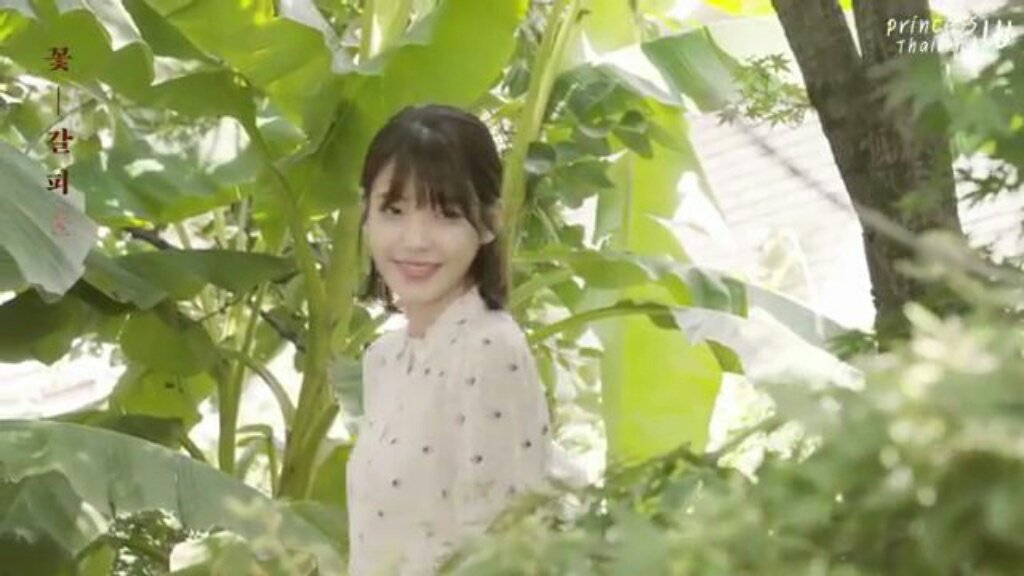PloyLyla's tweet photo. แก ทำไมอยู่ในดงกล้วยไม่น่ารักเท่าลี่ ขนาดไอยูรูปเบลอย���งสวยกว่าชั้นรูปชัดเลยอ่ะ ดงกล้วยเหมือนกันทำไมทุกอย่างต่างกันขนาดนี้ #iu #Ployploy https://t.co/mBVfO0ymFA