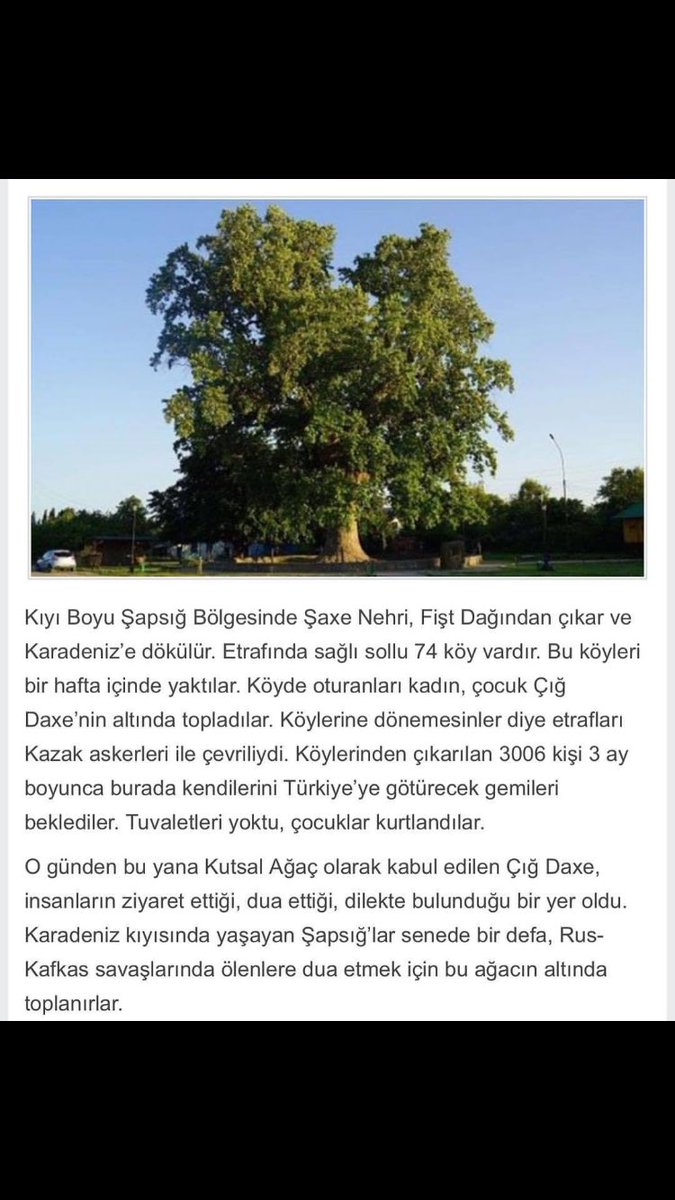 Biz çok öldük.Anlatmak için ölmemeli yaşamalıyız.#ruslangvashev #JusticeForRuslanGuashev