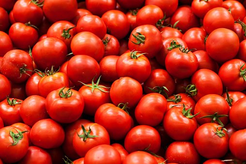 Despite heat and lack of rainfall, Ontario’s tomato crop thrives: farms.com/ag-industry-ne… #ontag