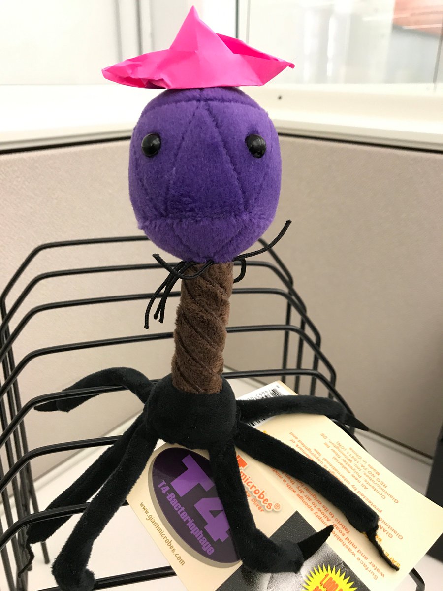 bacteriophage plush