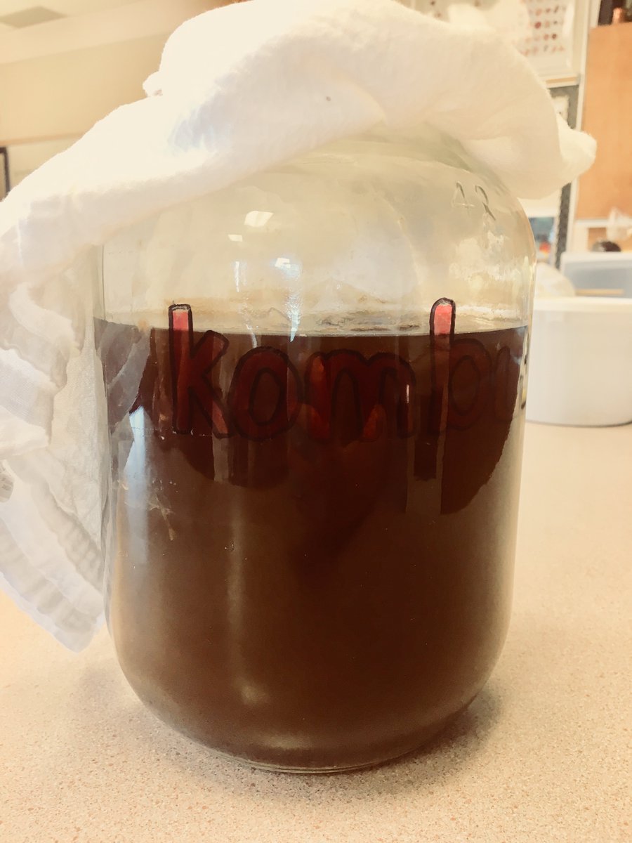 Time for some catch up days. Day 15 #bchs100dayofart a friend is teaching me to make #kombucha