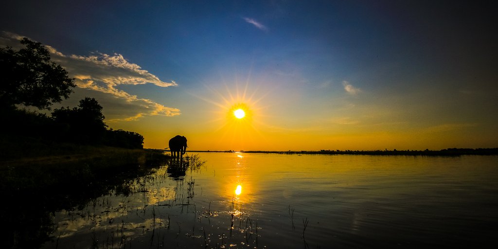 Tripadvisor's tweet photo. Why Kruger National Park is THE Place to Go on Safari: https://t.co/8GL4caZlbg https://t.co/GYDpMpgHKa