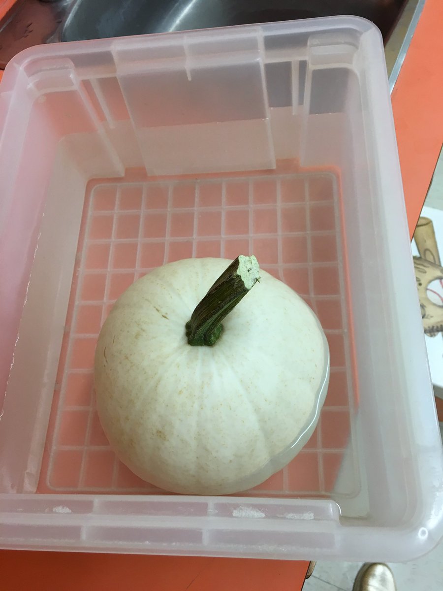 mrsterrana's tweet image. That time of year when pumpkins are all the rage, lol. They had a blast @reginamundices @MICHAELaCACCAMO #sinkorfloat #pumpkinseeds