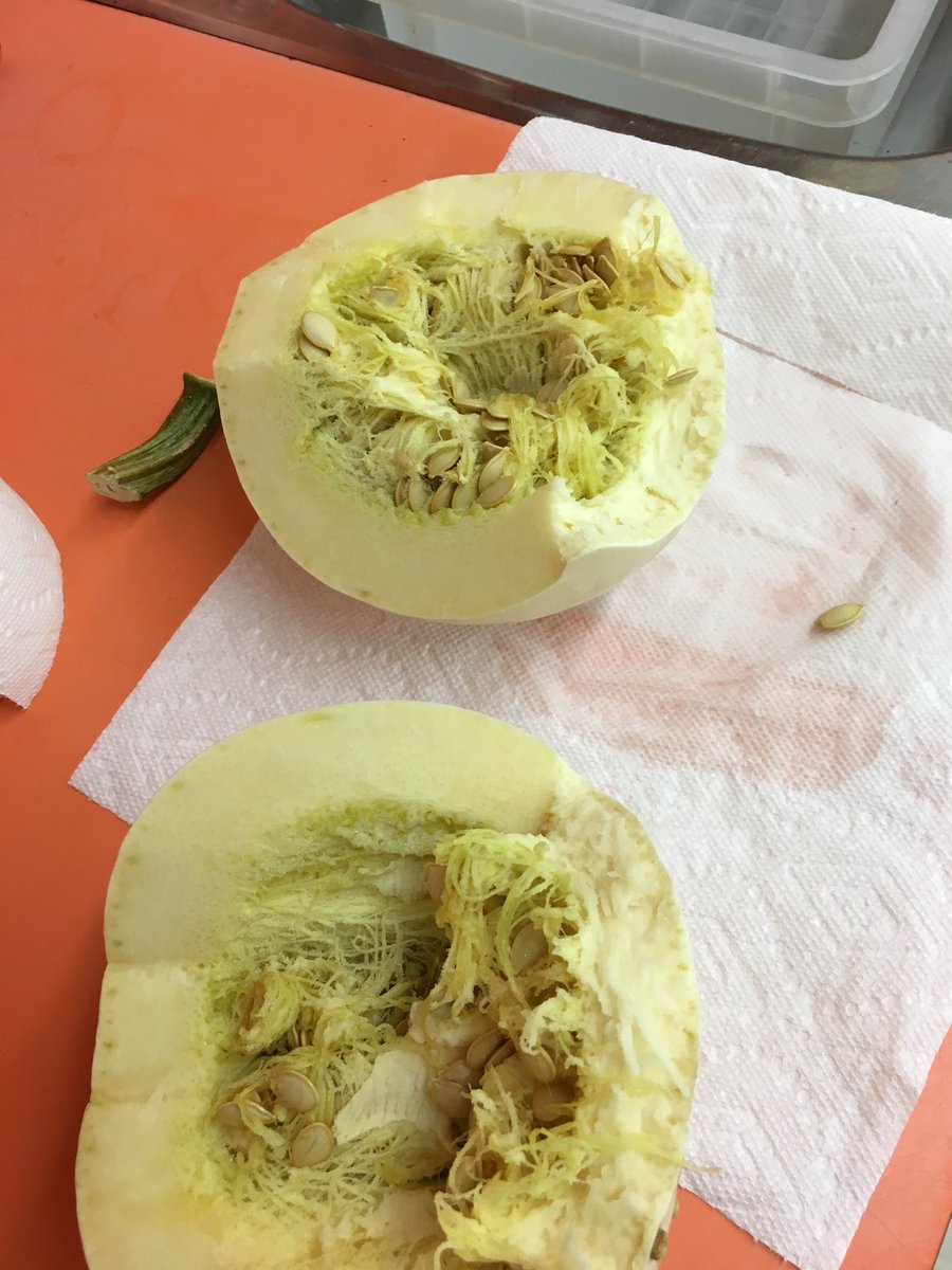 mrsterrana's tweet image. That time of year when pumpkins are all the rage, lol. They had a blast @reginamundices @MICHAELaCACCAMO #sinkorfloat #pumpkinseeds