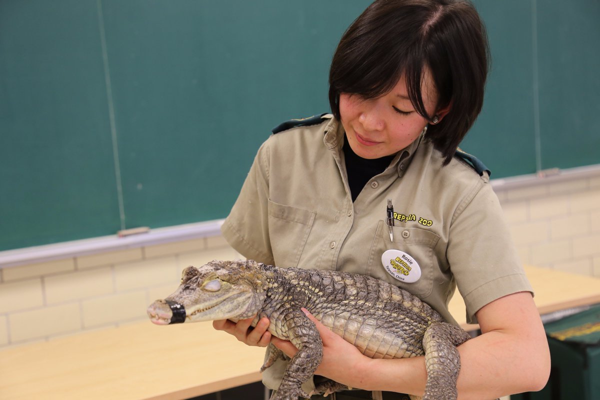 UofTEngOutreach's tweet photo. Happy #WorldAnimalDay from everyone at Engineering Outreach! Check out this wild shot from @ReptiliaCanada's visit to #DEEP2017 😜🐊! https://t.co/AwaoHAC0PJ
