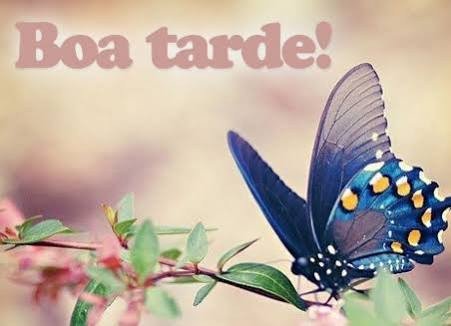 Castelo#Timbeta#SDV (@castelosilvio) on Twitter photo 