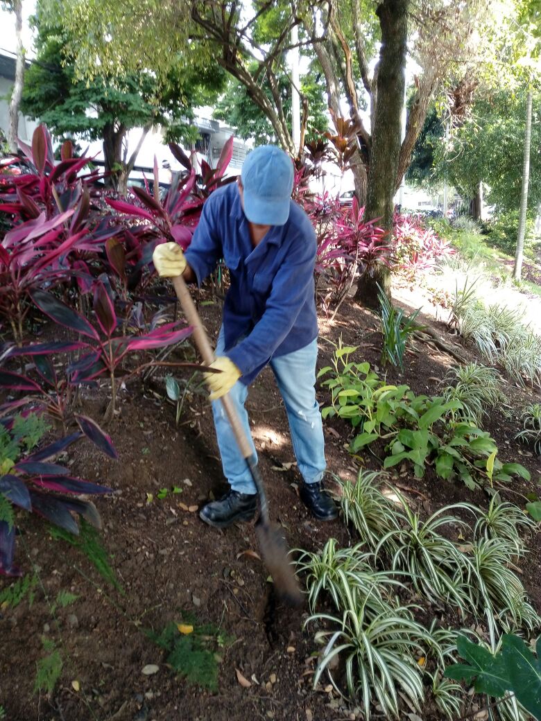 DagmaOficial's tweet photo. #DAGMA realiza seguimiento al mantenimiento a los jardines del separador vial de la Av. 8N con Calle 24 apadrinado por la @fundacionfes https://t.co/aKHYS2walx