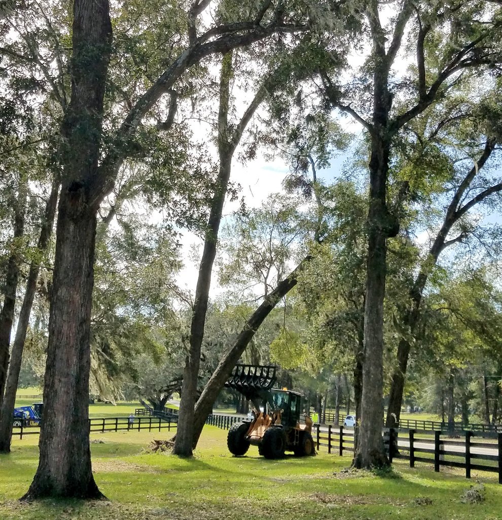 bobwadd1's tweet photo. Last tree we have to deal with post #HurricaneIrma. #IrmaRecovery #IrmaCleanup https://t.co/26m4IQbtno