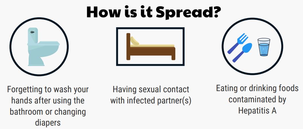 lapublichealth's tweet photo. Hepatitis A outbreak in LA County. Protect yourself by getting vaccinated and washing hands thoroughly. https://t.co/16MRfh5bUS https://t.co/1pb42bRs6t