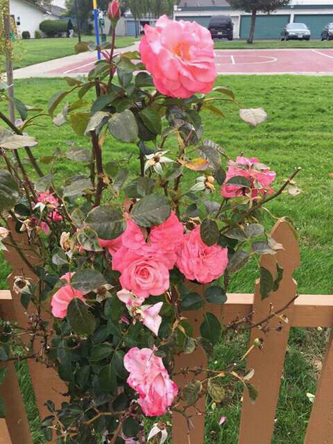 HEdmound's tweet image. 