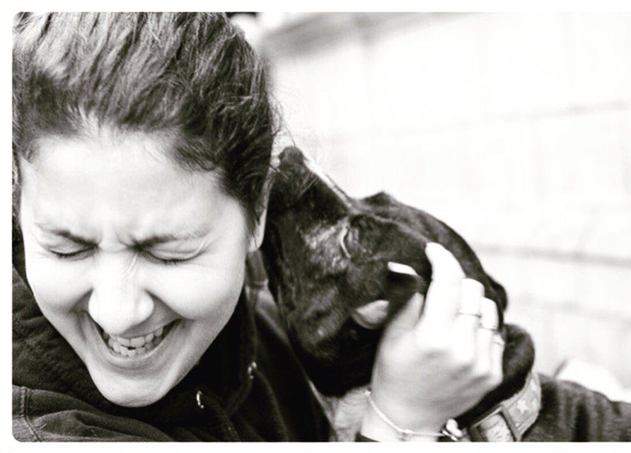 streetvetuk's tweet photo. StreetVet London outreach 4 times a week. Total number of dogs seen by our team is 17 in the last week 🐾 https://t.co/k3aHcXdDAH