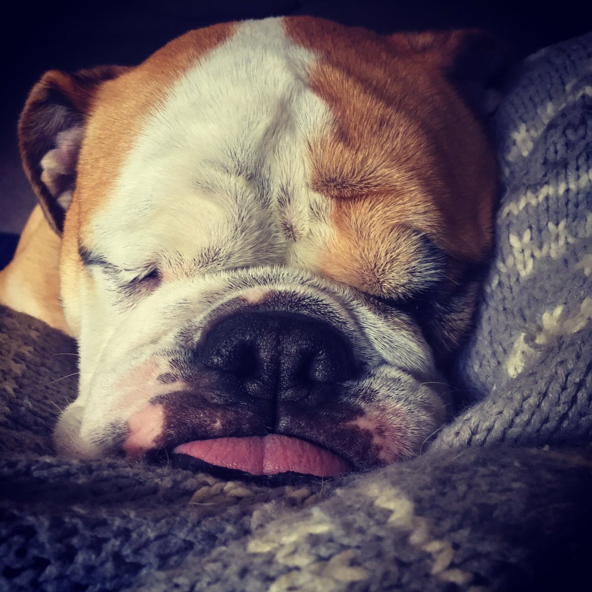 camp_peaches's tweet photo. Wake me up when it's Friday 😴😴😴 https://t.co/cmI7QDyXQ0
