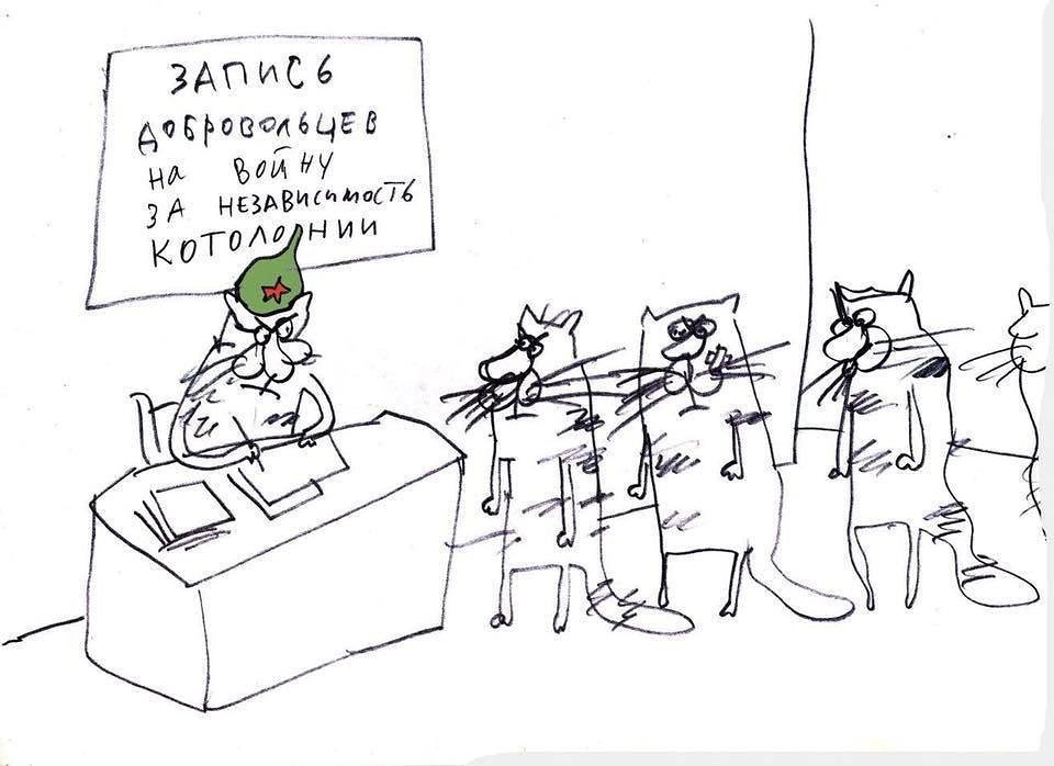 https://pbs.twimg.com/media/DLUpc7HWkAA9-W-.jpg