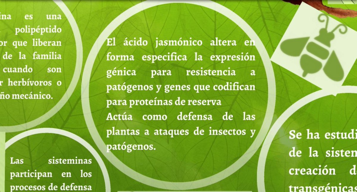 FcoLenarduzzi96's tweet photo. Funcion de la sistemina. 
@agorajavier 
@javierdealba4s https://t.co/bePfw14jvn