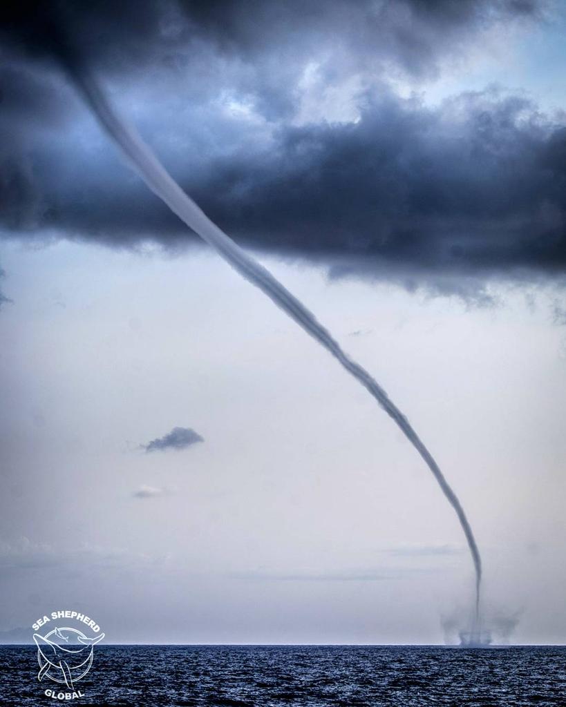 MVSamSimon's tweet image. Check our recent Insta post!
🌪 This is one of the 3 incredible waterspouts the MY Sam Simon crew witnessed whilst at sea!
(📸 Melissa Romao)