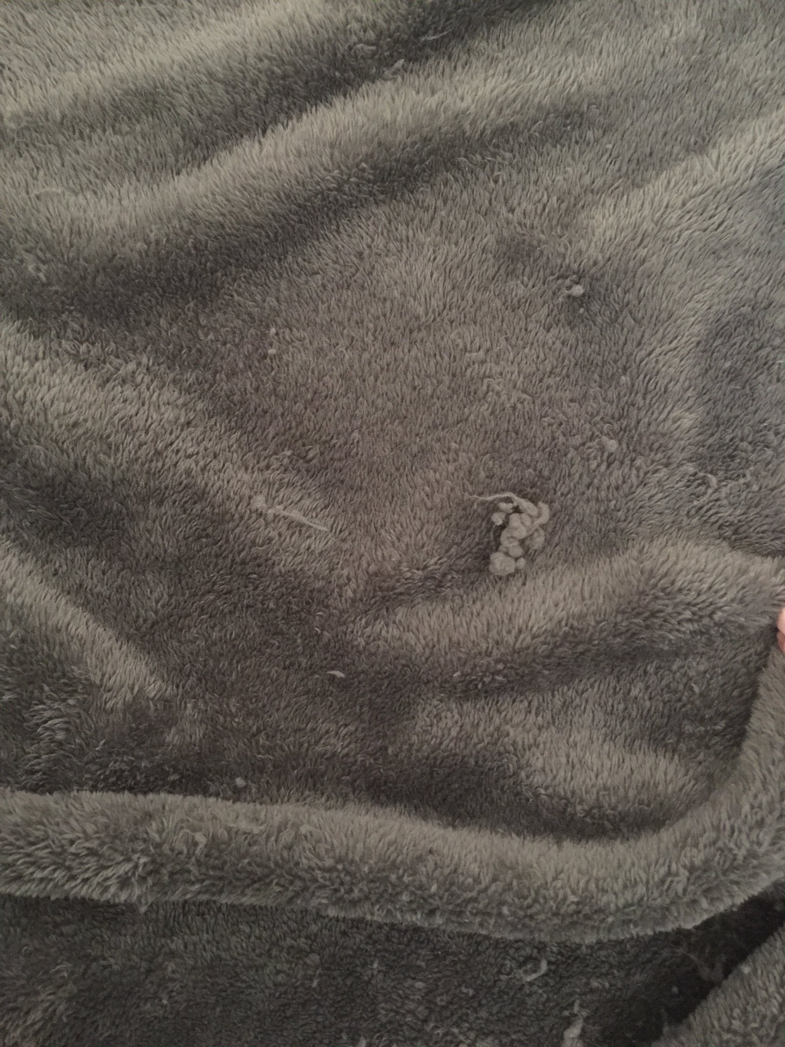 samantha bartol on X Target bought this blanket 5 months ago washed it and it won t stop shedding lint everywhere https t oTuboQaHGD X
