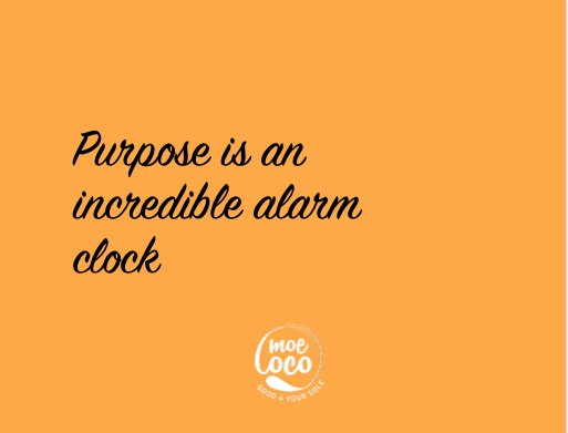 MoelocoFlipFlop's tweet image. When you live your life on purpose, its what we were all put on this planet for.
#socent#purpose #moeloco